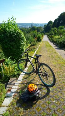 Ansicht der Anlage vom oberen Weg aus, im Vordergrund ein Fahrrad.