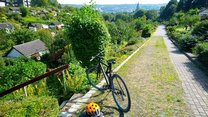 Ansicht der Anlage vom oberen Weg aus, im Vordergrund ein Fahrrad.